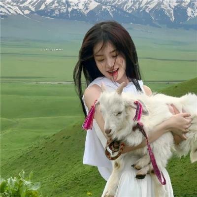狄仁杰之幻涅魔蛾